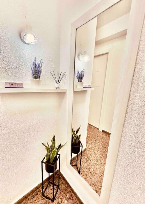 Citadella Apartment Sagunto المظهر الخارجي الصورة