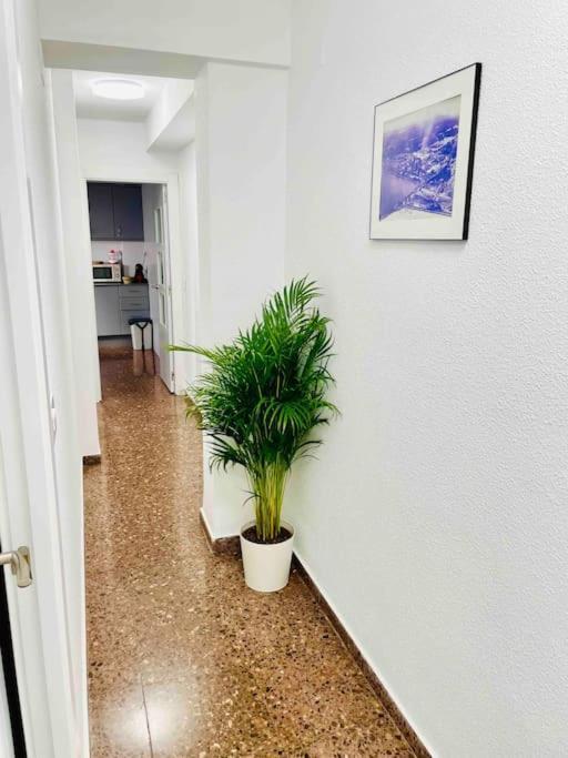 Citadella Apartment Sagunto المظهر الخارجي الصورة
